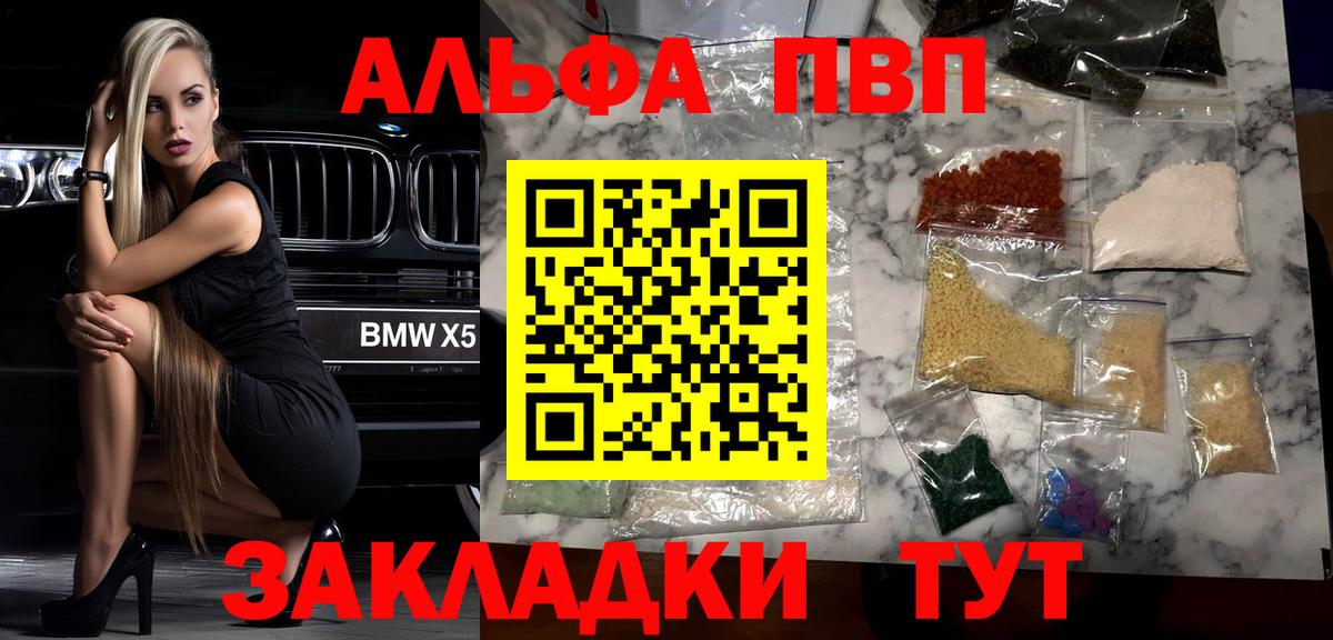 Альфа ПВП СК Майкоп