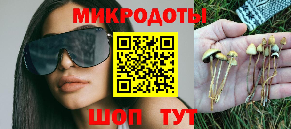 Галлюциногенные грибы Psilocybe  Вход с VPN  Майкоп 