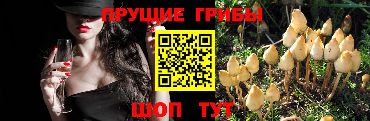 Псилоцибиновые грибы Magic Shrooms Майкоп